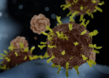 Nova variante do coronavírus semelhante à da África do Sul é identificada em São Paulo